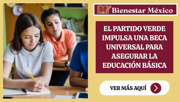 El Partido Verde impulsa una Beca Universal para asegurar la educación básica
