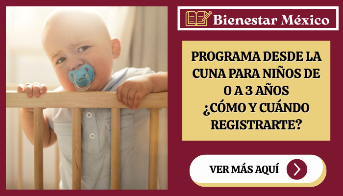Apoyo Desde la Cuna: Requisitos, documentos y todo lo que necesitas saber