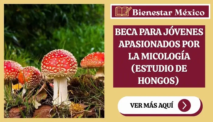 Beca para Jóvenes Apasionados por la Micología (Estudio de Hongos) 