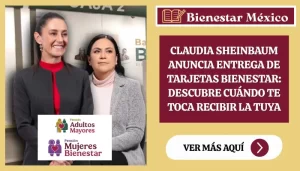 Claudia Sheinbaum Anuncia Entrega de Tarjetas Bienestar: Descubre Cuándo Te Toca Recibir la Tuya