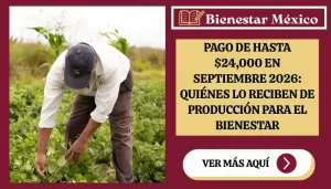 Pago de hasta 24 mil pesos del programa Producción para el Bienestar 2026 para productores del campo