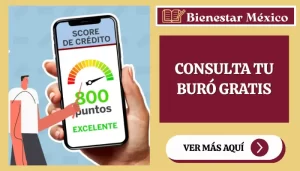 Persona revisa en su laptop su Reporte de Crédito Especial junto a un estado de cuenta de tarjeta de crédito